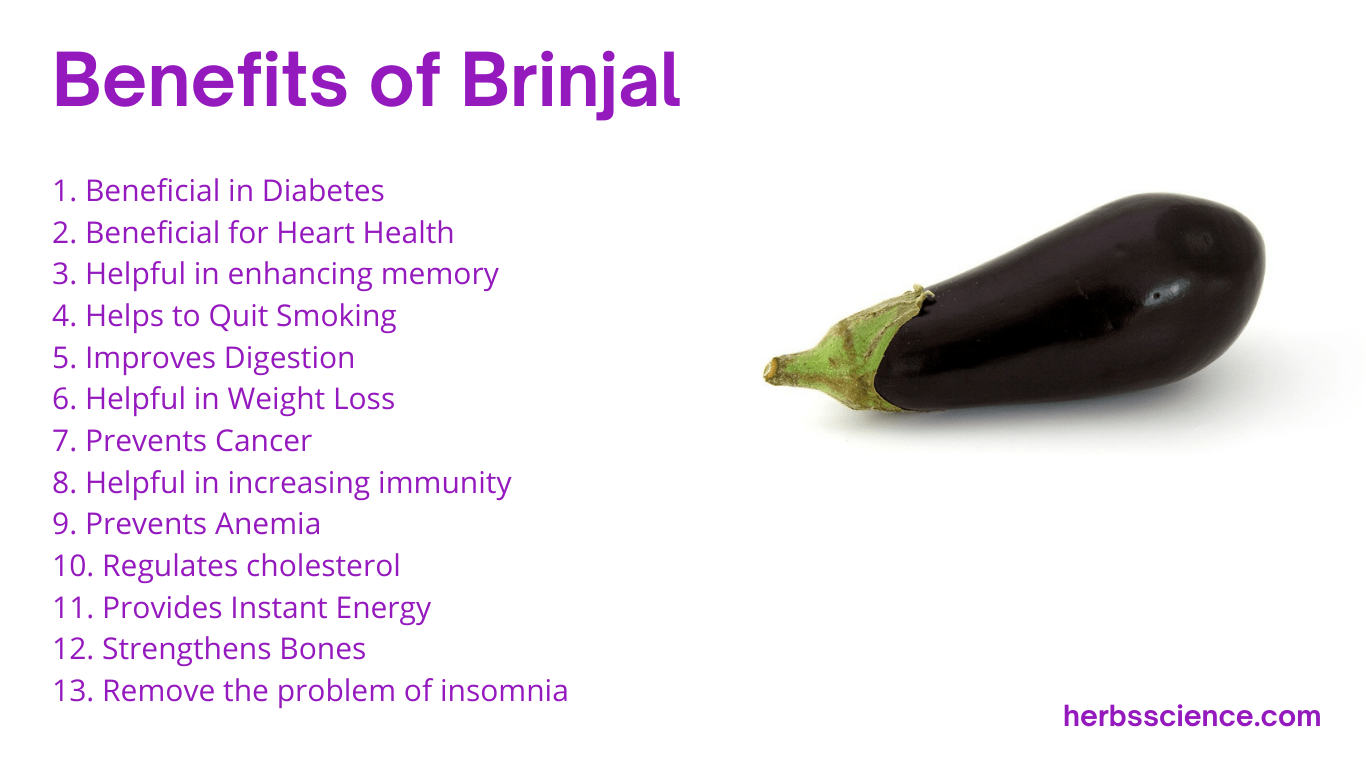 Brinjal benefits and side effects - Herbs Science