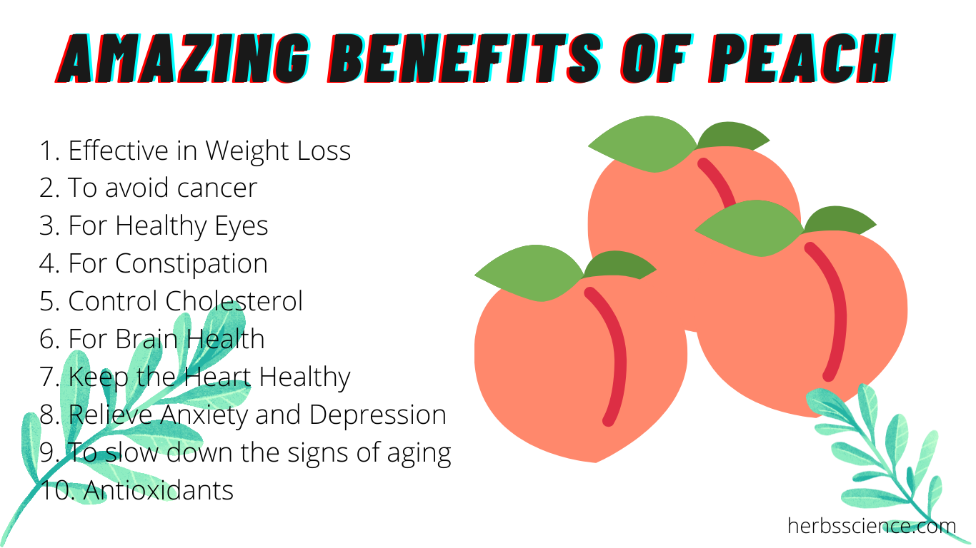Peaches Guide: Nutrition, Benefits, Side Effects, and More
